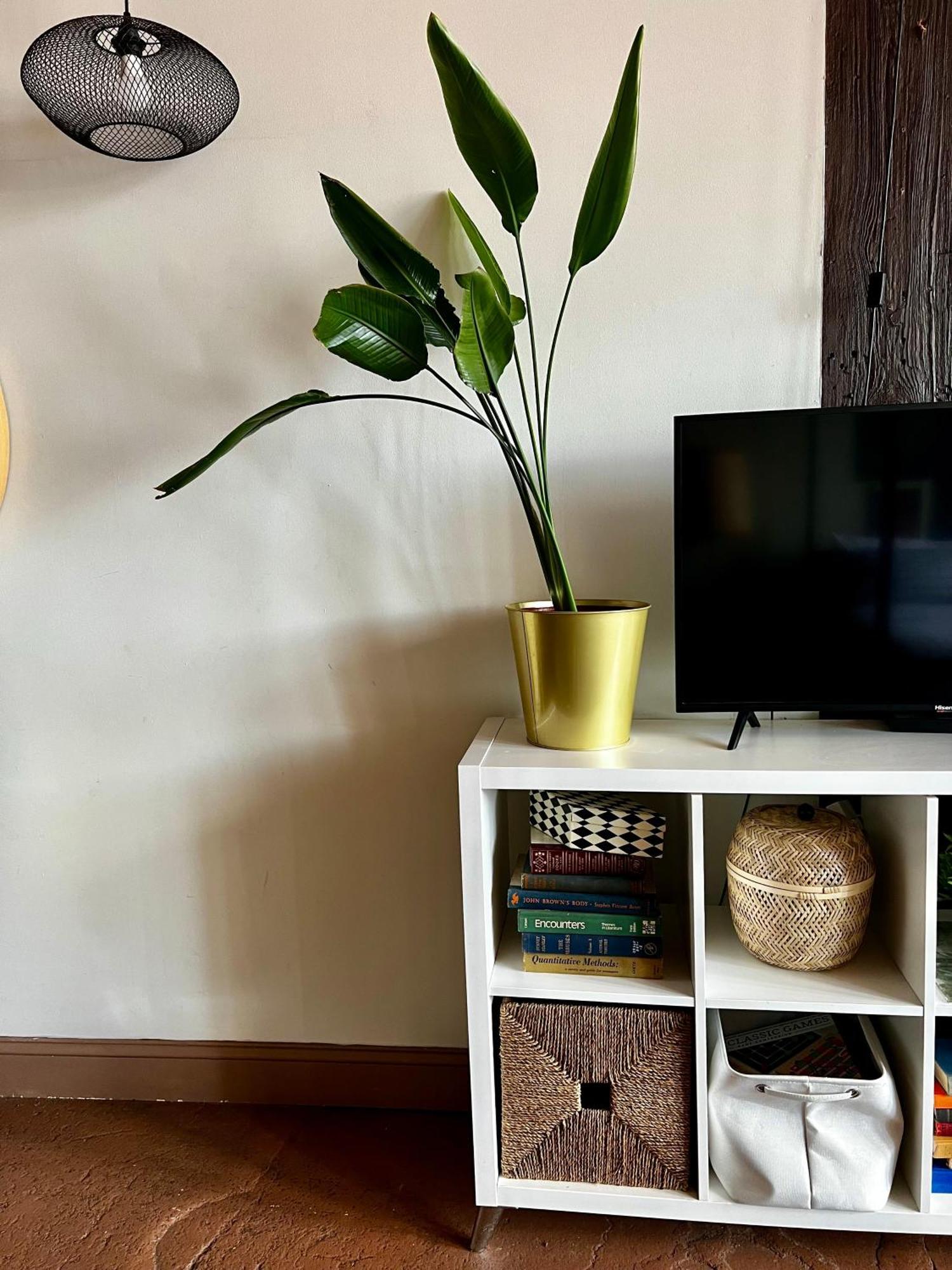 420 Friendly Boho Loft Downtown King Suite Free Parking Detroit Esterno foto